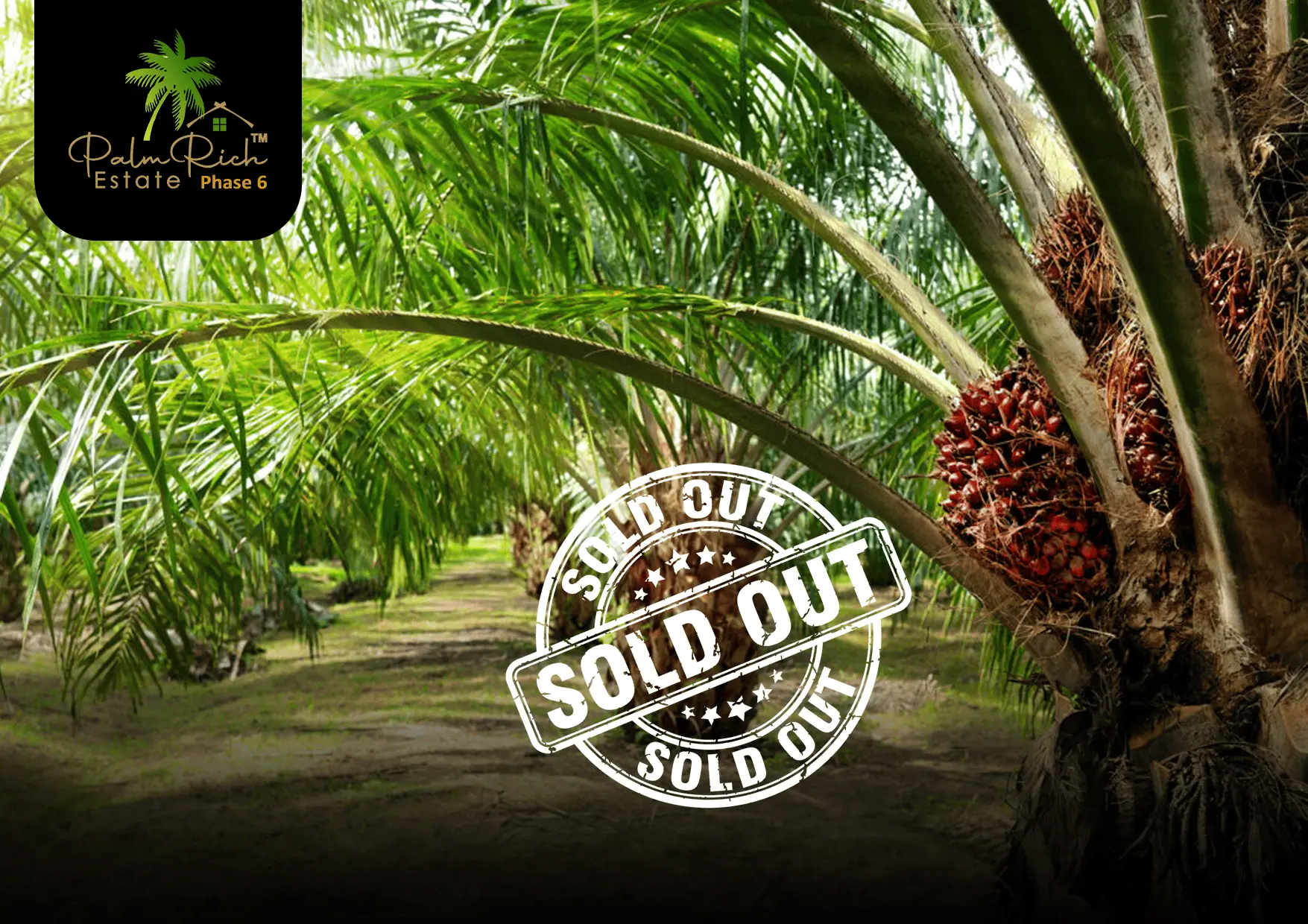 palmrich estate phase 6 1