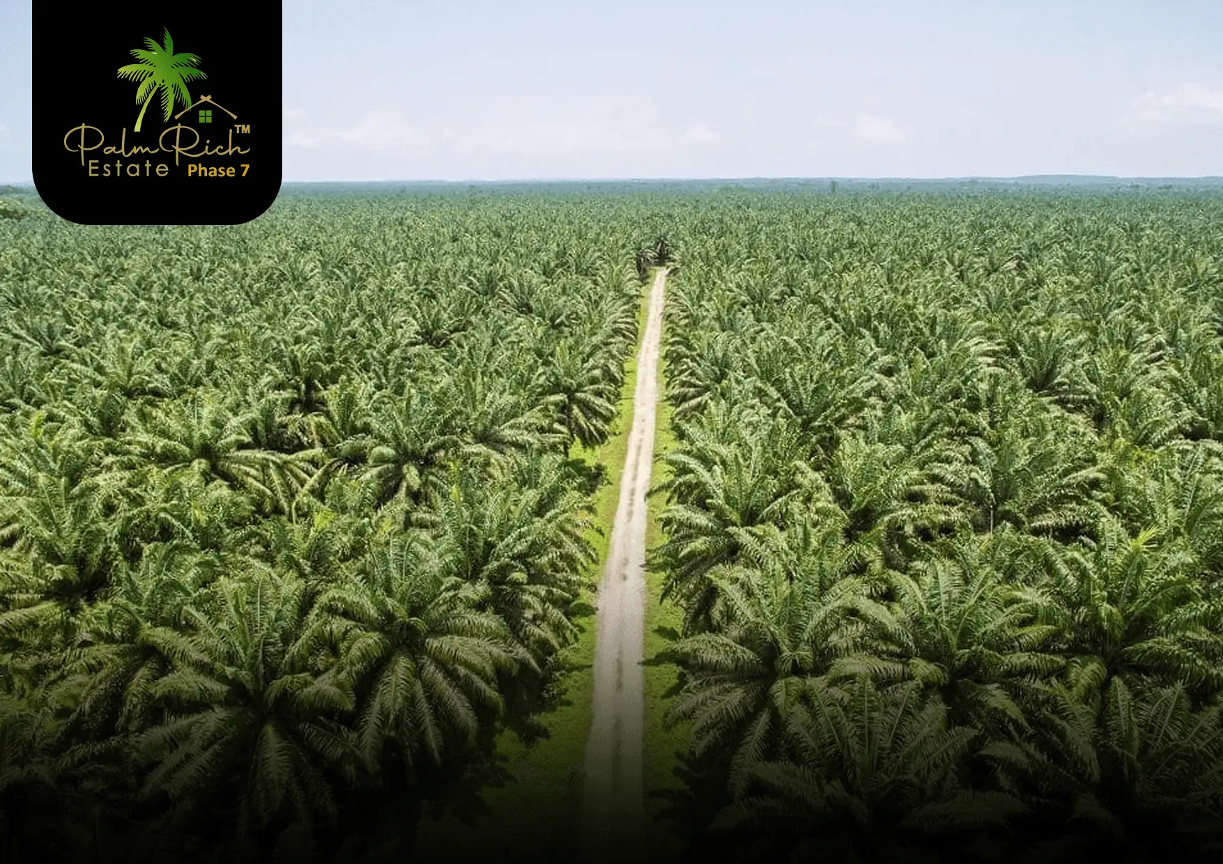 palmrich estate phase 7 1